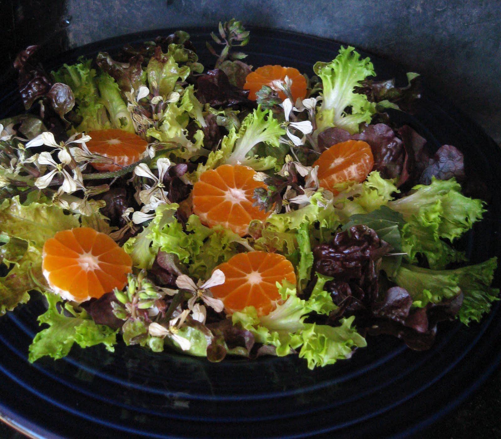 arugula-flower-spring-mix-salad