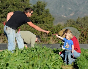 Rio Gozo Farm